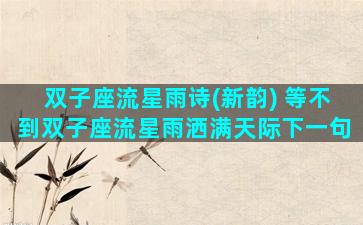 双子座流星雨诗(新韵) 等不到双子座流星雨洒满天际下一句